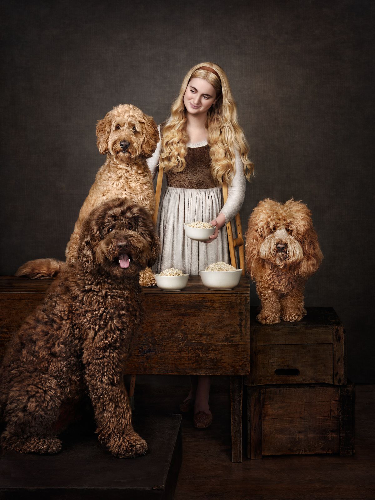 Goldilocks and the golden doodles by Jane Thomson