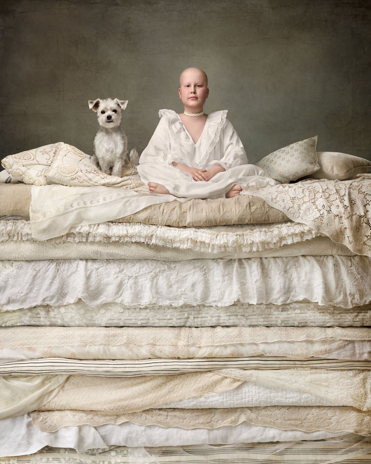 The Princess and the Pea portrait by Jane Thomson, 1st place winner at the Dog Photography Awards